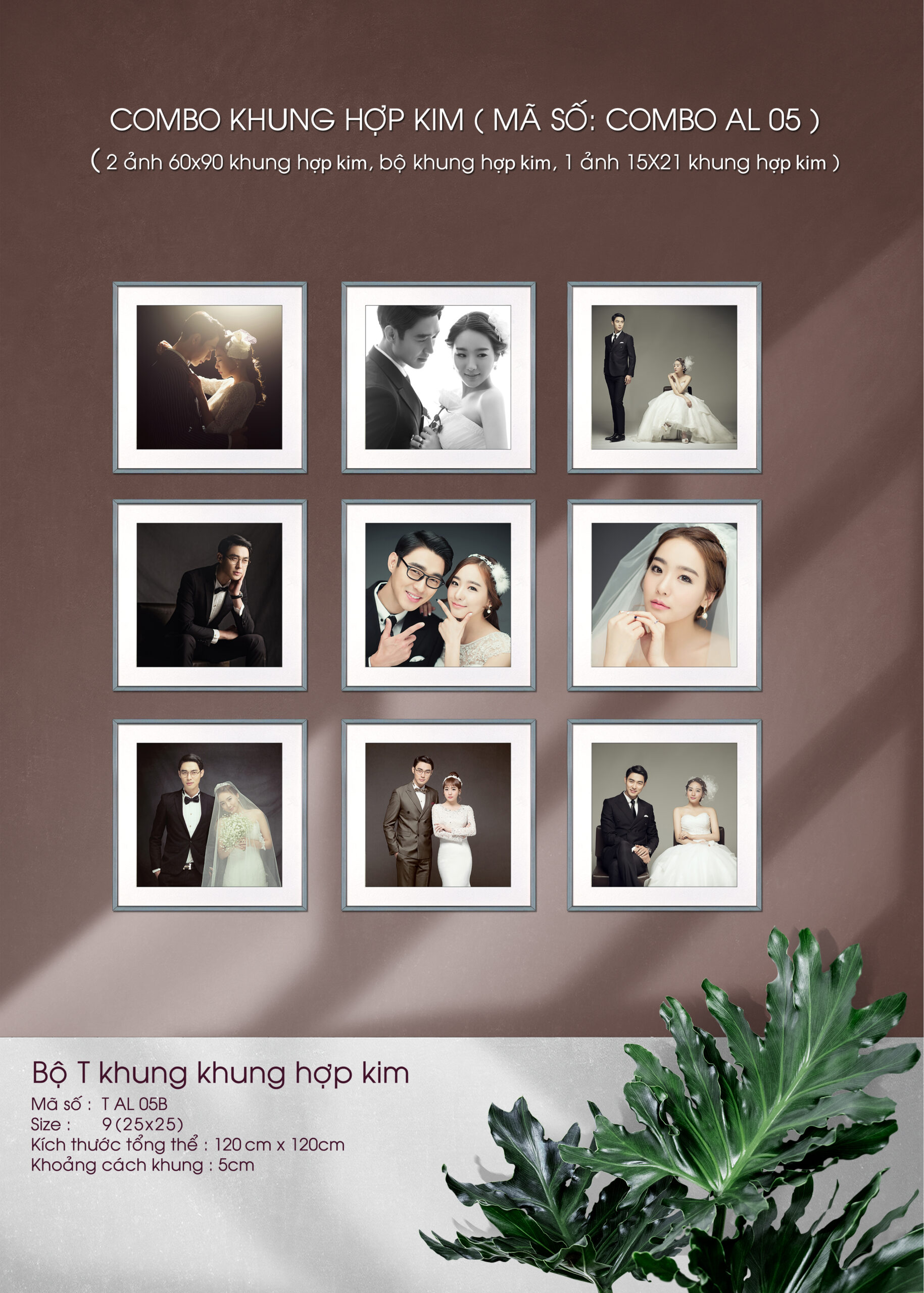 Mẫu khung DC001
