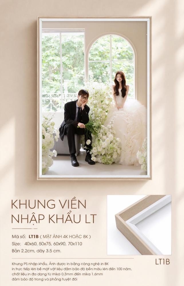 Mẫu LT1B