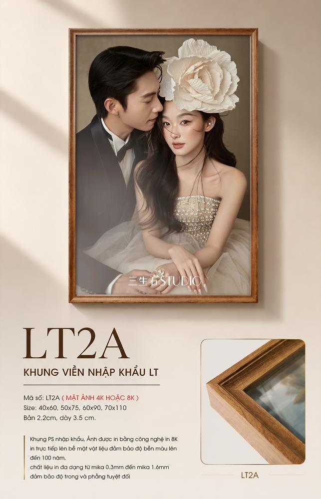 Mẫu LT2A