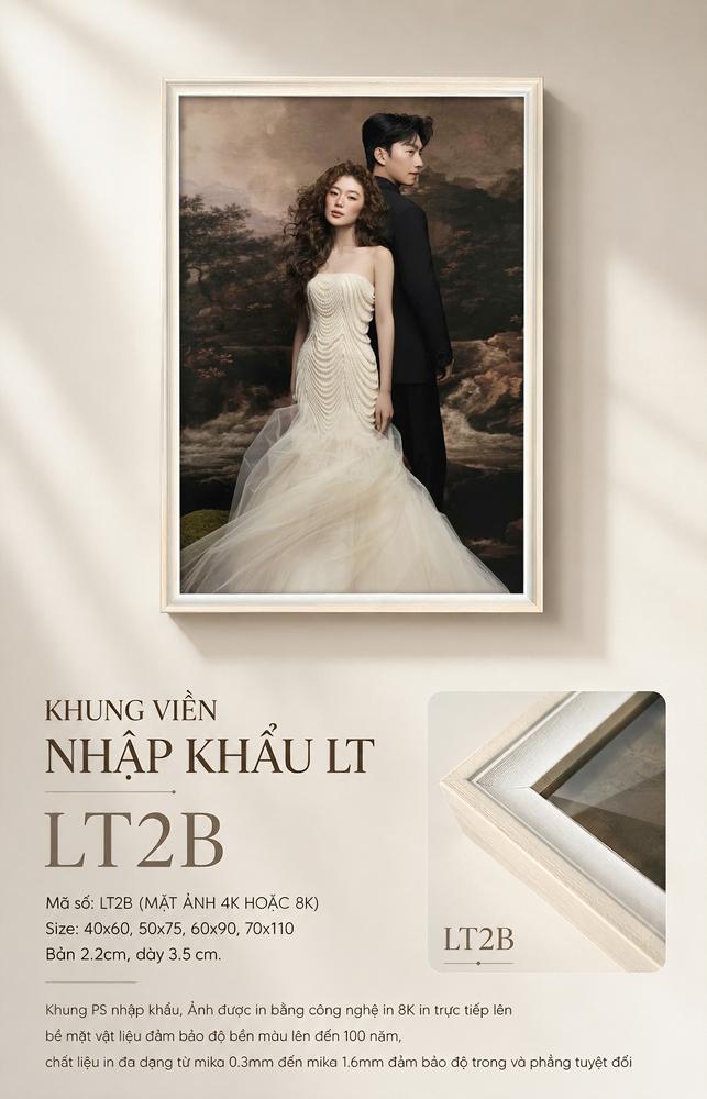 Mẫu LT2B