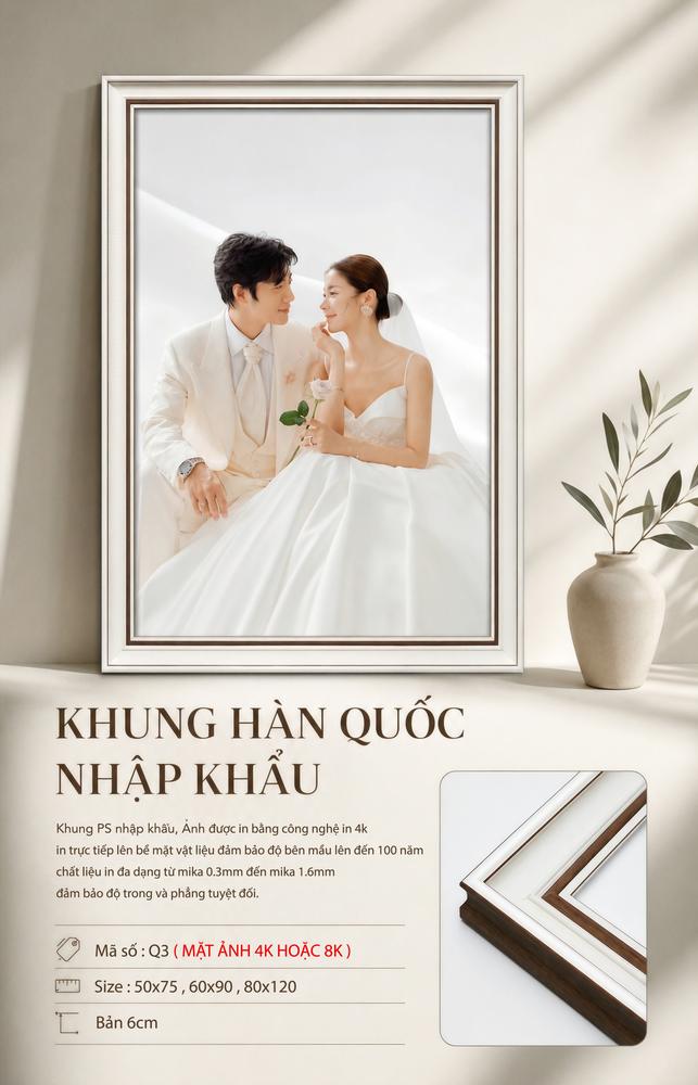 Mẫu Q3
